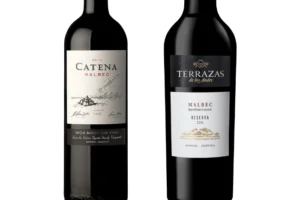Mejores Malbec buenos baratos destacada