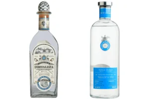 Tequilas blancos destacada